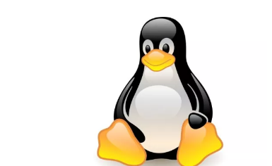 谷歌抨击Linux内核称其需要大量安全投资