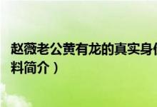 赵薇老公黄有龙的真实身份（黄有龙背景 黄有龙简历个人资料简介）