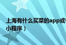 上海有什么买菜的app或者小程序（上海线上买菜平台app小程序）