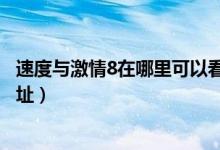 速度与激情8在哪里可以看（速度与激情8百度云资源下载地址）