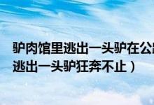 驴肉馆里逃出一头驴在公路上狂奔(画风太搞笑!驴肉馆里逃出一头驴狂奔不止)