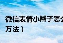微信表情小辫子怎么弄（微信表情小辫子设置方法）