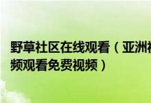 野草社区在线观看（亚洲视频视频在线观看 野草社区小草视频观看免费视频）