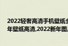 2022轻奢高清手机壁纸全屏（2022虎年壁纸可爱,2022虎年壁纸高清,2022新年图片手机壁纸）