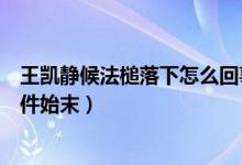 王凯静候法槌落下怎么回事（王凯澄清男男不雅视频地址事件始末）