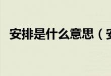安排是什么意思(安排一下梗从哪里来的)