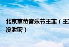 北京草莓音乐节王菲（王菲在草莓音乐节把手机蹦丢了所幸没泄密）