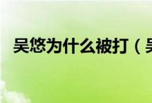 吴悠为什么被打（吴悠被打是有预谋的吗）