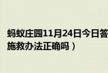 蚂蚁庄园11月24日今日答案大全(把溺水的人倒过来控水的施救办法正确吗)