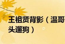 王祖贤背影(温哥华偶遇王祖贤,独自一人街头遛狗)