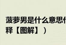 菠萝男是什么意思什么梗（菠萝男网络用语解释【图解】）