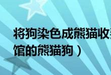 将狗染色成熊猫收费1500元（这是宠物咖啡馆的熊猫狗）