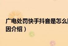 广电处罚快手抖音是怎么回事(广电处罚快手抖音的真正原因介绍)