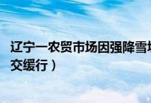 辽宁一农贸市场因强降雪坍塌（内蒙古通辽暴雪,越野车拉公交缓行）