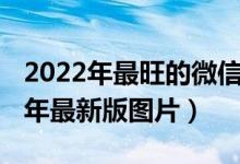 2022年最旺的微信头像大全（微信头像2022年最新版图片）