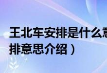 王北车安排是什么意思什么梗（抖音王北车安排意思介绍）