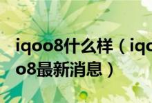 iqoo8什么样(iqoo8参数配置详情介绍 iqoo8最新消息)