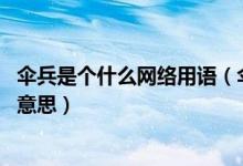 伞兵是个什么网络用语（伞兵是什么梗,网络用语伞兵是什么意思）