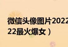 微信头像图片2022最火爆（微信头像图片2022最火爆女）