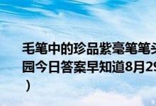 毛笔中的珍品紫毫笔笔头的制作原料出自哪种动物(蚂蚁庄园今日答案早知道8月29日 8月29日今日蚂蚁庄园答案最新)
