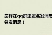 怎样在qq群里匿名发消息（手机qq群匿名怎么设置,如何匿名发消息）
