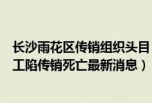 长沙雨花区传销组织头目（湖南长沙南方职业学院林华蓉打工陷传销死亡最新消息）