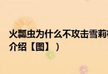 火瓢虫为什么不攻击雪莉杨（鬼吹灯火瓢虫与雪莉杨的关系介绍【图】）