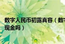 数字人民币初露真容（数字人民币到底是什么 真能替代流通现金吗）