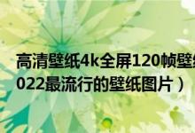 高清壁纸4k全屏120帧壁纸潮图（抖音上很火的潮图壁纸_2022最流行的壁纸图片）