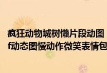 疯狂动物城树懒片段动图(疯狂动物城树懒动图_闪电树懒gif动态图慢动作微笑表情包)