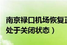 南京禄口机场恢复正常了吗(南京禄口机场仍处于关闭状态)