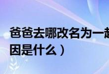 爸爸去哪改名为一起出发吧（爸爸去哪改名原因是什么）
