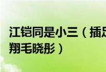 江铠同是小三（插足张翰郑爽翟天临李依伊陈翔毛晓彤）