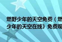 燃野少年的天空免费（燃野少年的天空完整版免费-《燃野少年的天空在线》免费观看(加长版)）