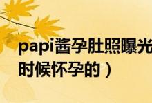 papi酱孕肚照曝光（papi酱怀孕几个月什么时候怀孕的）