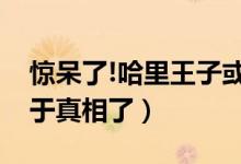 惊呆了!哈里王子或派非洲到底什么情况(终于真相了)