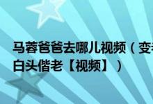 马蓉爸爸去哪儿视频（变老后王宝强深情告白：想和你一起白头偕老【视频】）