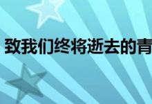 致我们终将逝去的青春观后感（你有看过吗）