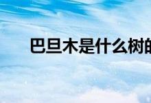 巴旦木是什么树的果实（巴旦木介绍）