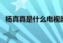 杨真真是什么电视剧里的（该剧演员简介）