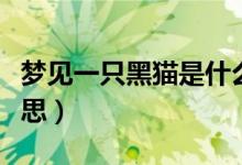 梦见一只黑猫是什么意思（解释梦见黑猫的意思）
