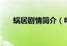 蜗居剧情简介（电视剧蜗居剧情简介）