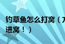 钓草鱼怎么打窝（方法很简单打窝后草鱼疯狂进窝！）