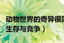 动物世界的奇异很简单(浅谈那些奇怪现象的生存与竞争)