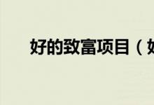好的致富项目（好的致富项目有什么）