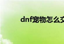 dnf宠物怎么交易（怎么卖宠物）