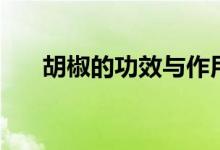 胡椒的功效与作用（胡椒能治什么病）
