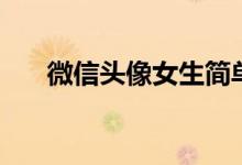 微信头像女生简单大方(有什么特点)