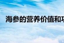 海参的营养价值和功效（海参有什么营养）