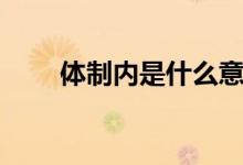 体制内是什么意思（体制内的解释）